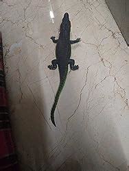 Buy VILRO Rubber Crocodile Bath Toy (Green) Online at Low Prices in ...
