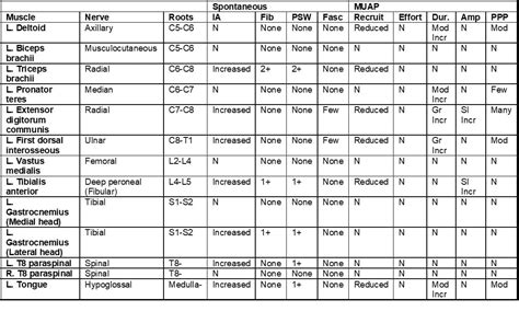 Image result for EMG Exam Example