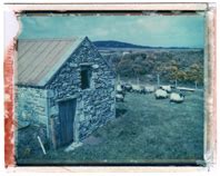 EXPIRED POLAROID PACK FILM photographs gallery .. Polaroid Madness, Ireland