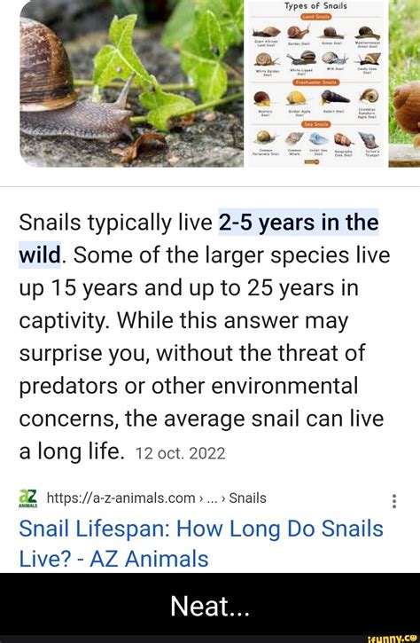 Types of Snails Snails typically live 2-5 years in the wild. Some of the larger species live up ...