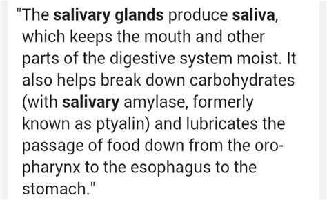what are the functions of salivary glands - Brainly.in