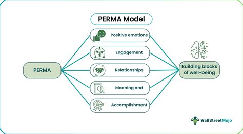 Image result for Perma Model Flow