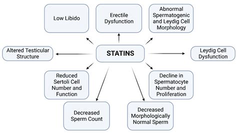 Statins and Male Fertility: Is There a Cause for Concern?
