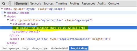 AngularJS Examples 的图像结果