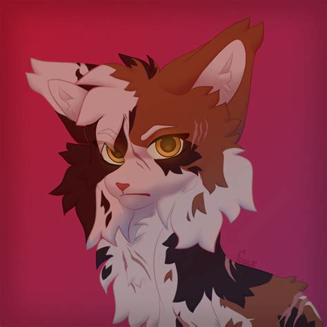 Warrior Cats [fanart] by FlourBalloon on DeviantArt