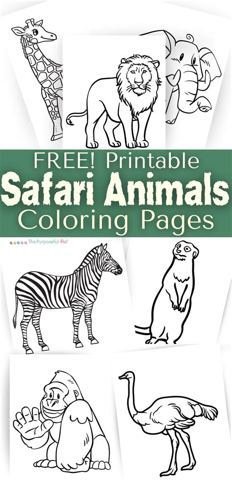 Safari Animal Coloring Pages