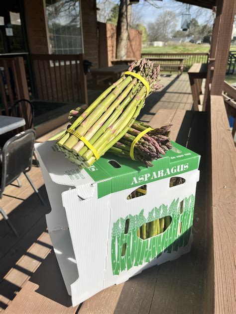 South Carolina Agriculture 的图像结果