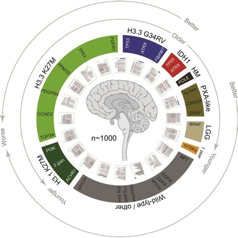 Image result for Meta-Analysis Graph
