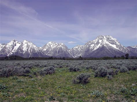 Big Horn Mountains Wyoming | Wyoming vacation, Wyoming mountains ...