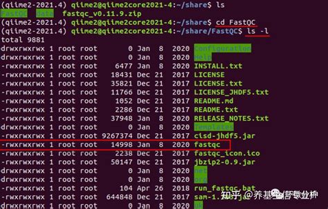 FastQC Tutorial Windows 的图像结果