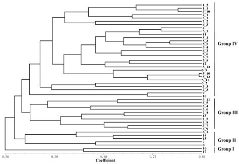 IRAPs in Combination with Highly Informative ISSRs Confer Effective ...