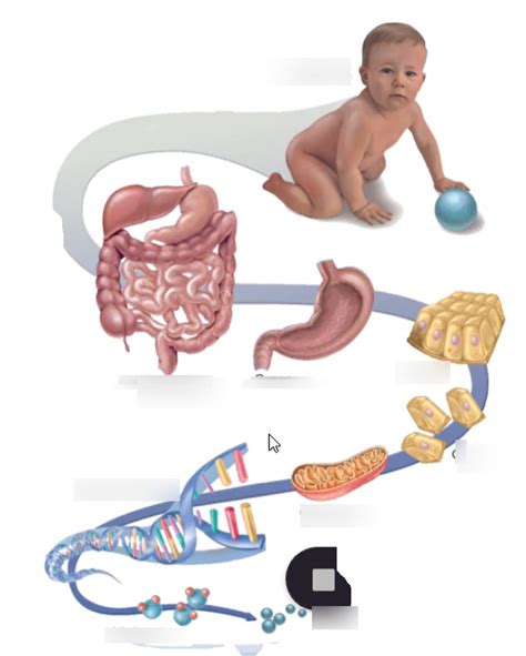 Example of System Structure 的图像结果