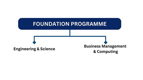Image result for Foundation Programme