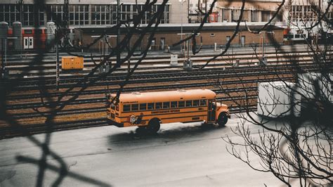 Download wallpaper 1920x1080 bus, branches, road, city full hd, hdtv ...
