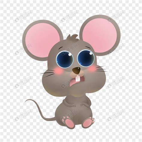 怎么能分辨老鼠的种类？ - 知乎