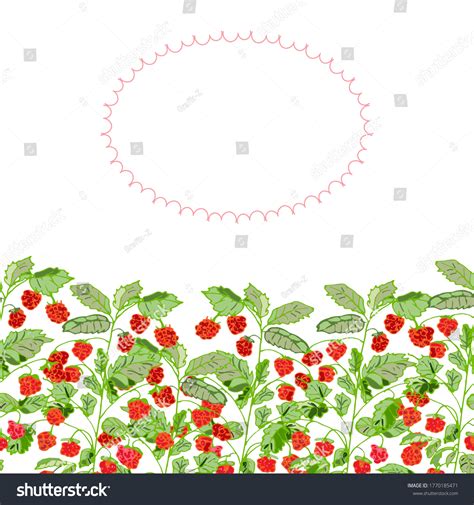 Image result for Raspberry Color Border