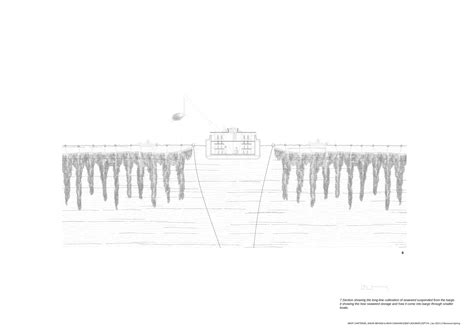 Kelp & Ocean | CEPT - Portfolio