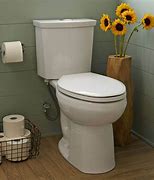 Image result for Best Flushing Toilet On the Market