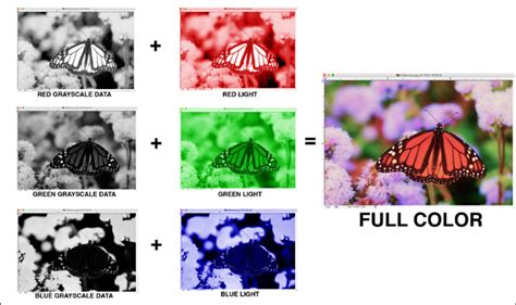 Image result for Bit Depth Microscope