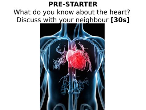 Heart Function GCSE 的图像结果