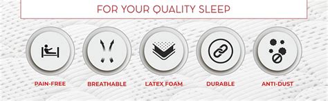 Repose eyelidz 5-inch Queen Size Latex Mattress (Grey and White ...