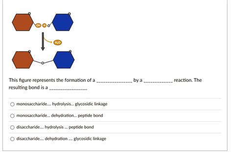 Image result for Dehydration Reaction Example