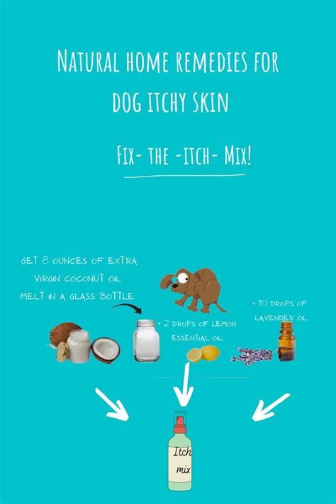 itchy skin natural remedies