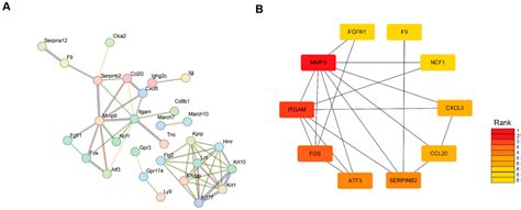 Transcriptional Study of Radiofrequency Device Using Experimental Mouse ...