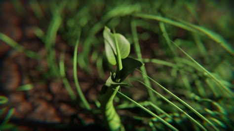 Image result for Blender Growing Tree Animation Geometry Nodes