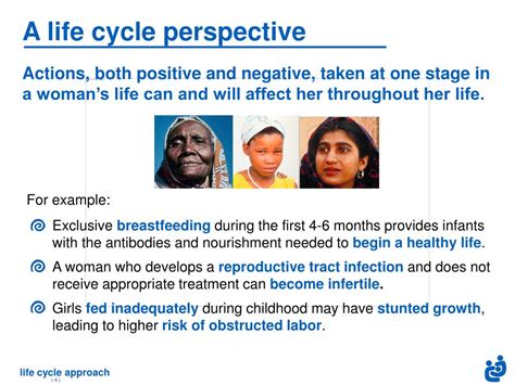 Image result for Life Cycle Approach