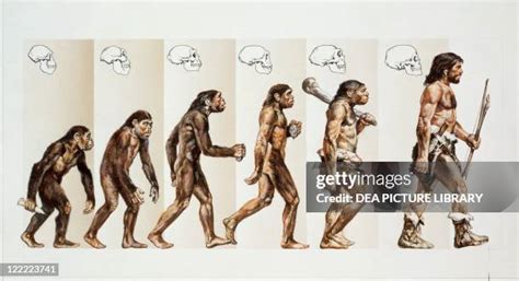 Evolution of Human Drawing 的图像结果