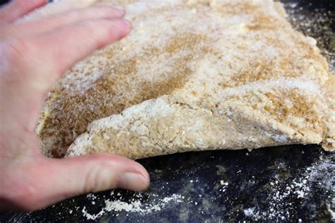 Easy No-Rise Organic Cinnamon Rolls – Organically Made