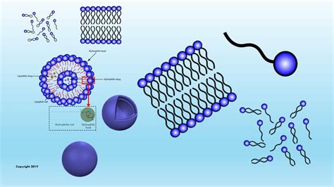 Image result for Graphical Abstract Bioscience