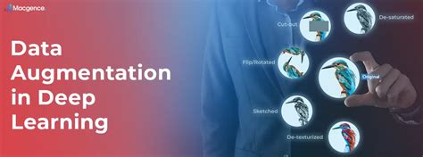 Image result for Deep Learning Data Augmentation