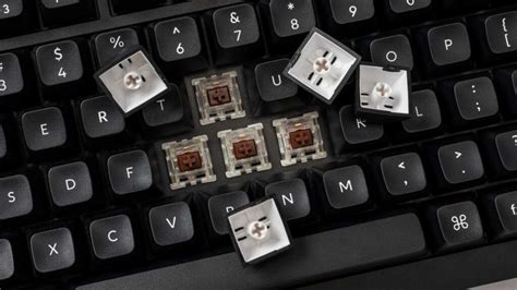 Image result for Clicky Switch