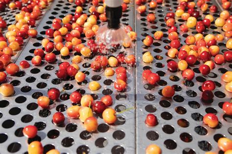 News Features | Specialty Food Association