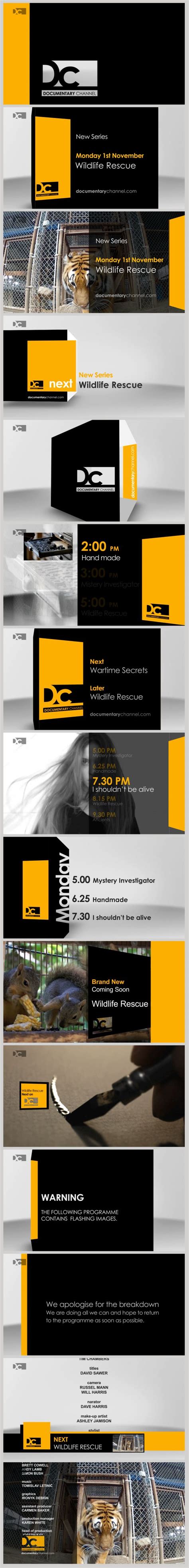 Image result for Channel Program Branding Graphics