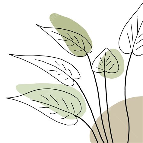 Aesthetic Drawings Plants at Lachlan Ord blog