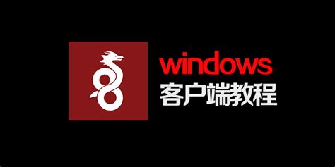 Wire Guard Tutorial Windows 的图像结果