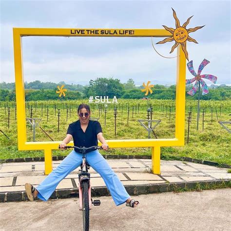 Sula Vineyards IPO: Here’s everything you need to know