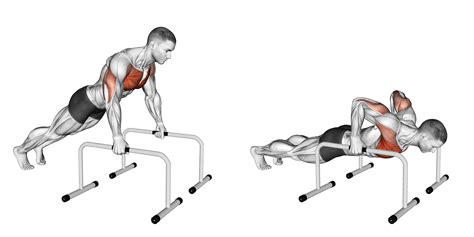 Push Up Bars: Are there any Benefits to Using Them? - Inspire US