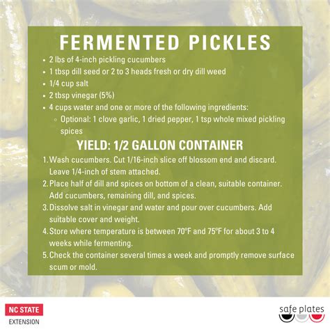 How to Make Fermented Pickles | NC State Extension