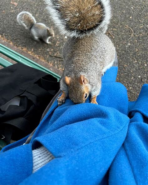 Anna (@anna_wilson_jones) • Instagram photos and videos