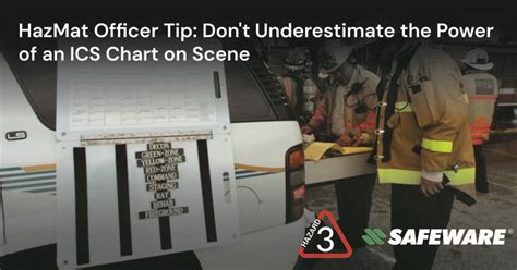 Image result for ICS Chart Esfs