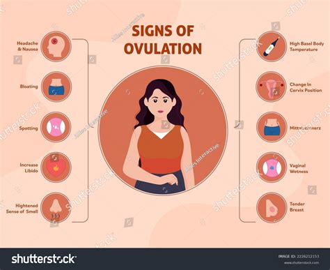 Ovulation