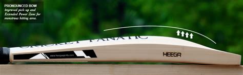 Heega Cricket Fanatic Half Width Kashmir Willow Grade 1 Middler Bat for ...