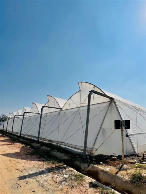 Image result for Poly House Profile Spring