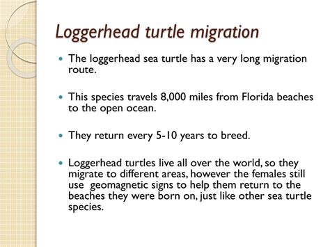Loggerhead Turtle Migration Patterns 的图像结果