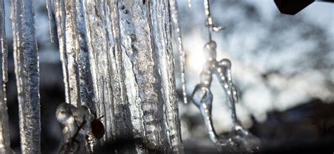 Icicles and a drop of melt water closeup snow melting | Premium Photo