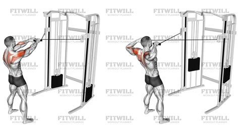 Cable Standing Face Pull: Exercise Guide, Video, Techniques, Benefits ...
